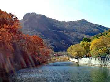 天天彩好彩天天免费，河北图书批发市场